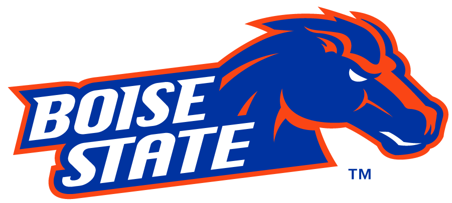 Boise State Broncos 2012-2013 Secondary Logo t shirts iron on transfers